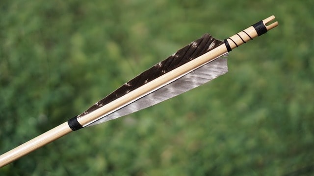 arrow fletches