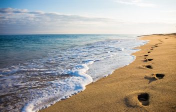 Footprints On A Sandy Beach