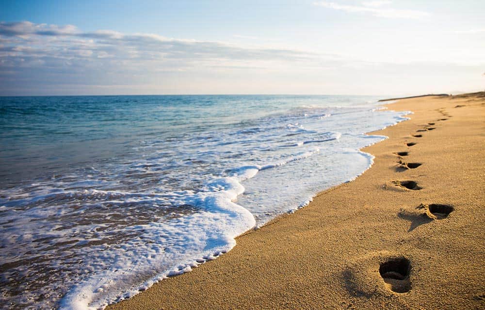 Footprints On A Sandy Beach