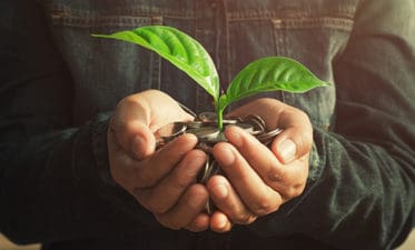 Coins Plant Hands