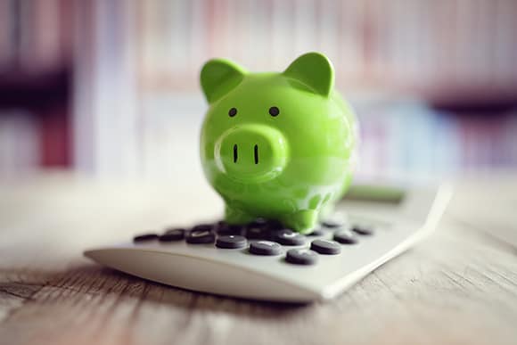 Green Pig sitting on Calculator
