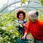 A senior woman and young girl help out in the greenhouse at the local farm.